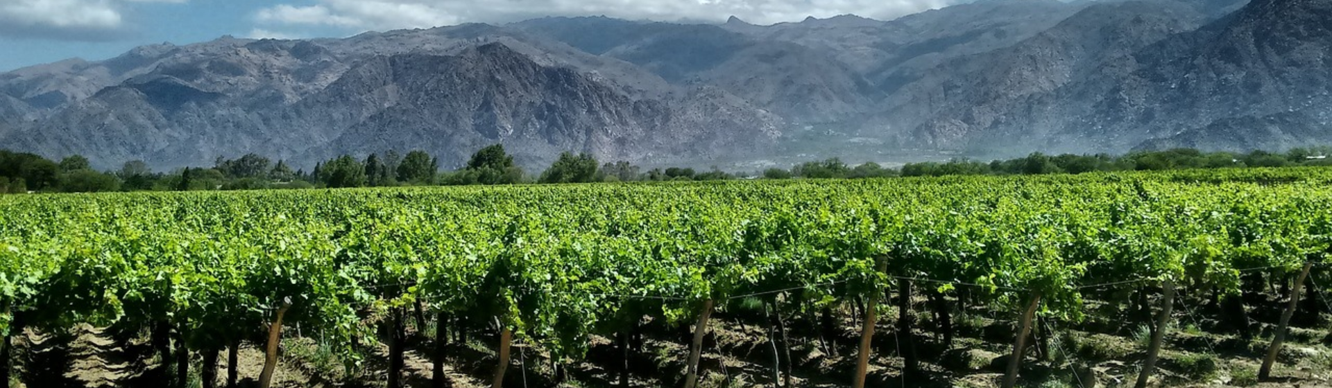 vinos destinos encantados